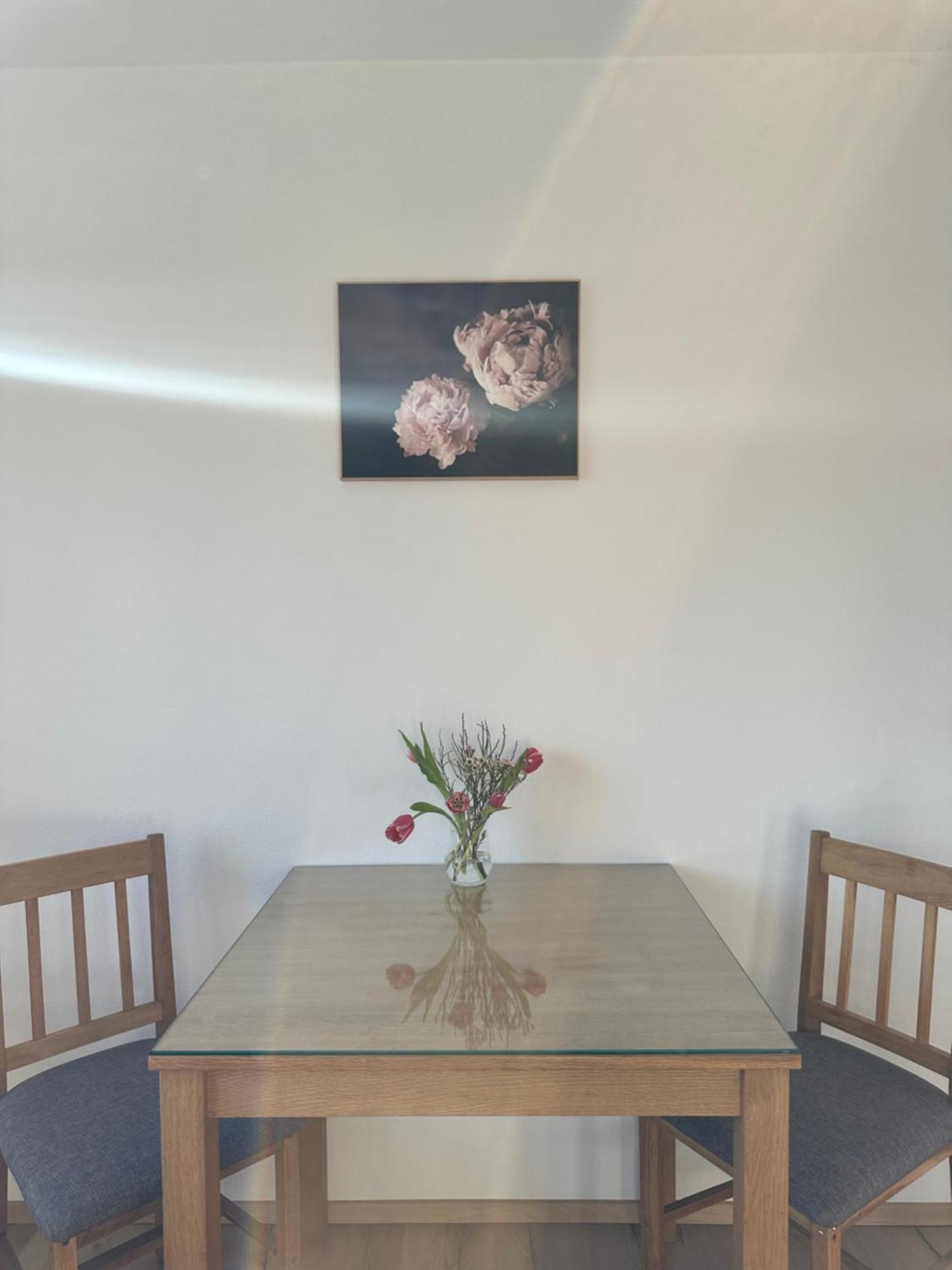 Vanessa Apartment ليوبليانا المظهر الخارجي الصورة